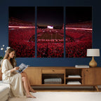 Dooley Stadium Wall Art, Sports Arena Canvas Print, Dooley Field Sanford Stadium