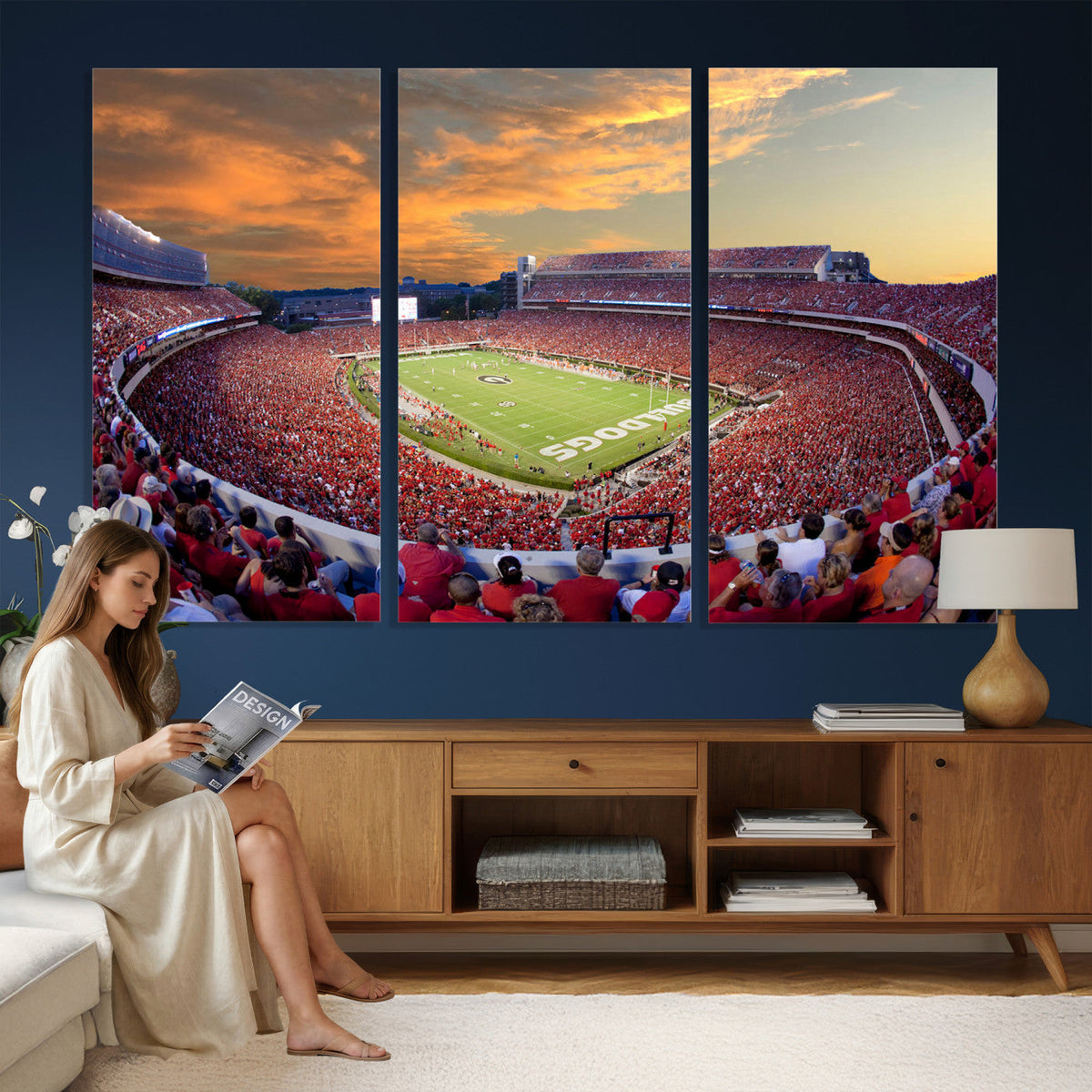 Dooley Stadium Wall Art, Sports Arena Canvas Print, Dooley Field, Framed and Ready to Hang