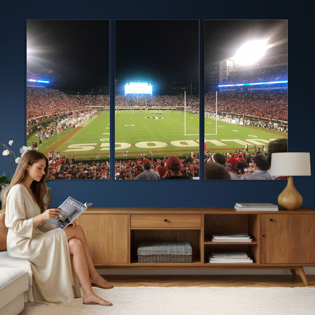 Dooley Stadium Wall Art, Sports Arena Panoramic Canvas