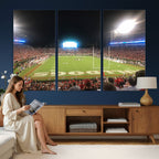 Dooley Stadium Wall Art, Sports Arena Panoramic Canvas
