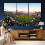 Boca Juniors Soccer Team Print, Buenos Aires Bombonera