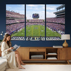 TCU Horned Frogs Football Team Print, Fort Worth Amon G. Carter Stadium, Framed and Ready to Hang