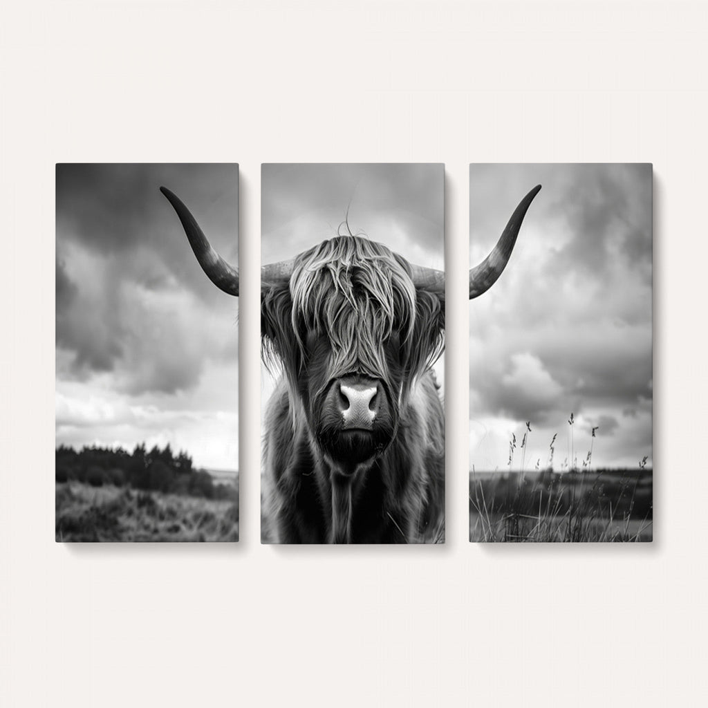 Scottish Cow Wall Art Canvas Print, Longhorn Wall Art