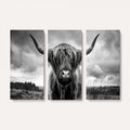Scottish Cow Wall Art Canvas Print, Longhorn Wall Art
