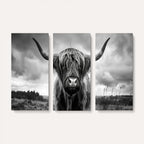Scottish Cow Wall Art Canvas Print, Longhorn Wall Art
