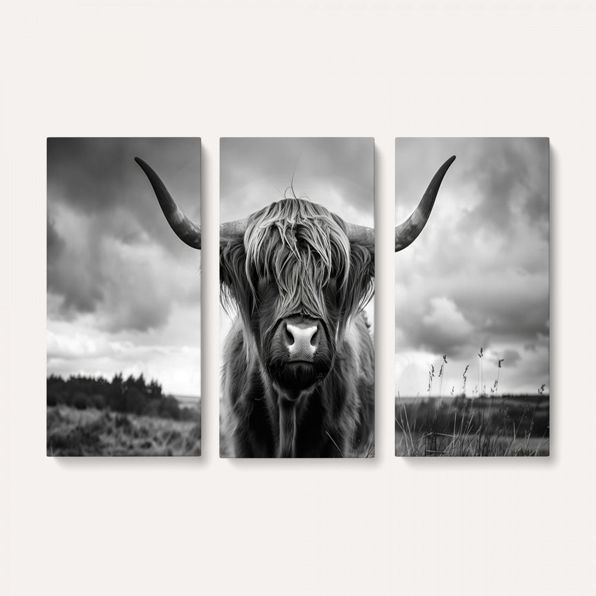 Scottish Cow Wall Art Canvas Print, Longhorn Wall Art