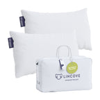 Dream Bamboo Pillow - Set of 2
