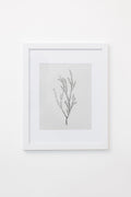 Enid Wall Art