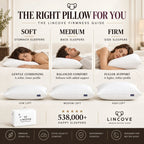 Signature™ 100% Canadian Down Pillow - Set