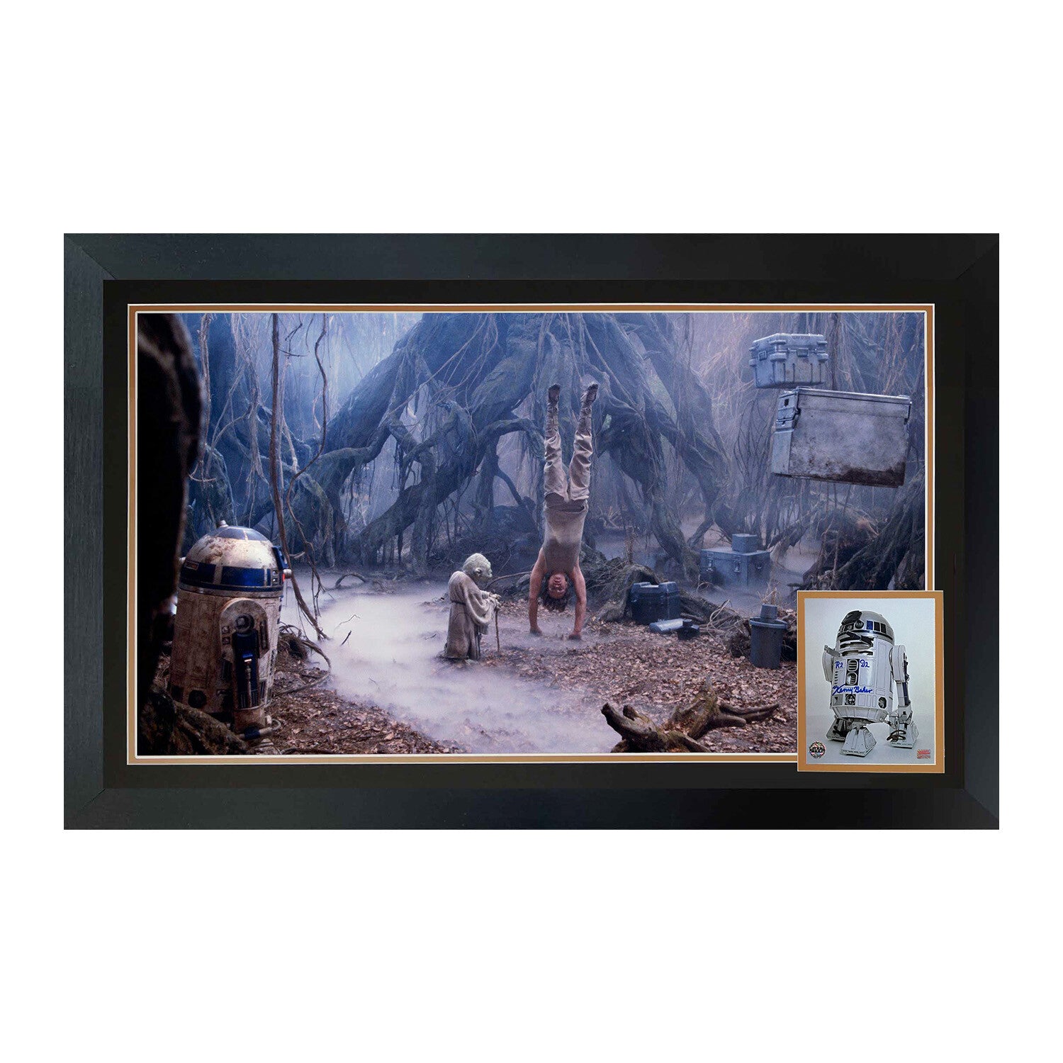 Kenny Baker // Signed R2-D2 & Yoda Dagobah - Framed Display
