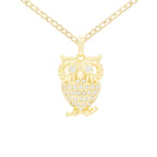 Owl Cubic Zirconia Pendant With Necklace Set 14K Gold Filled