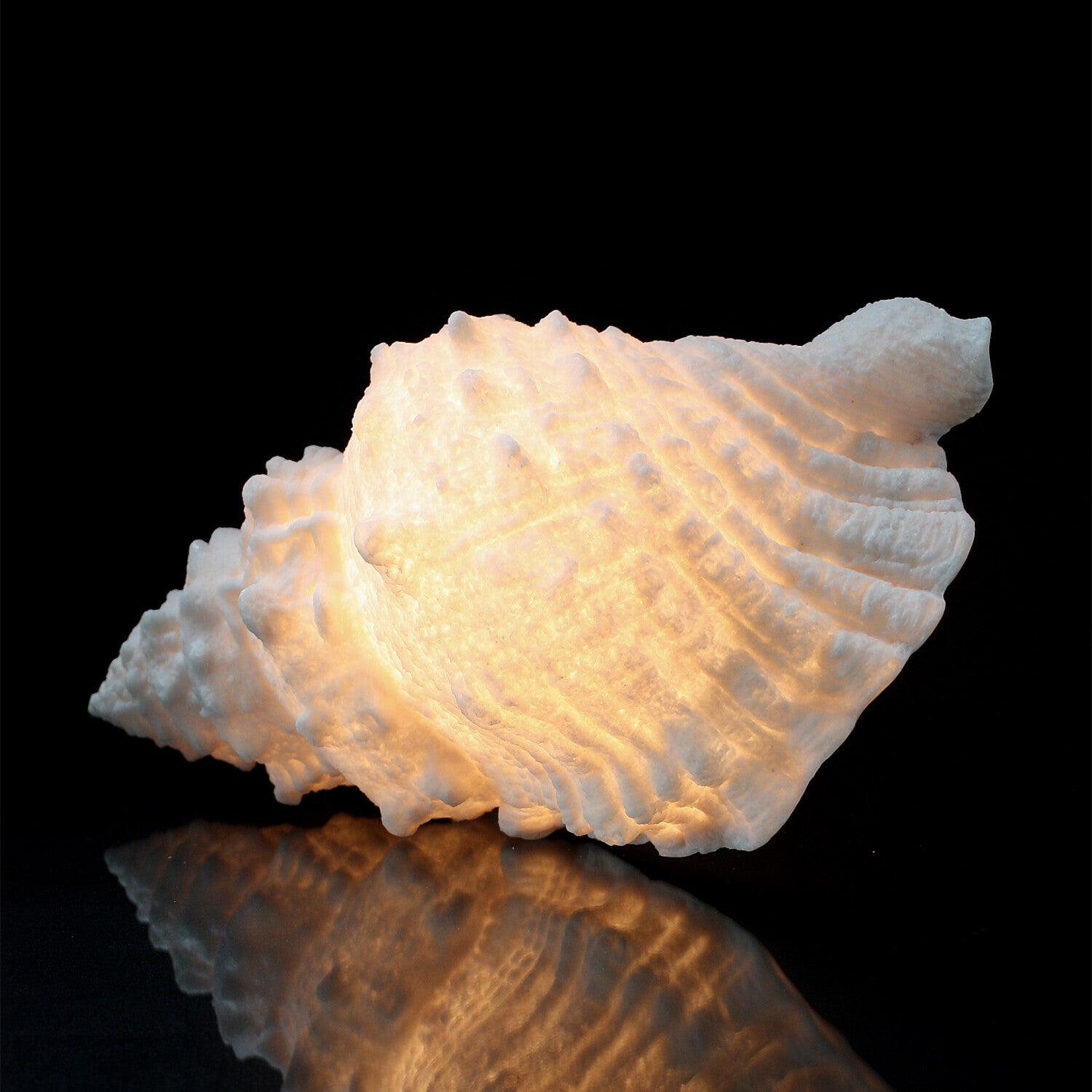 Cast Resin Conch Lamp