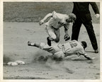 Dick Bartell 8x10 B/W 1943 Press Wire Photo New York Giants