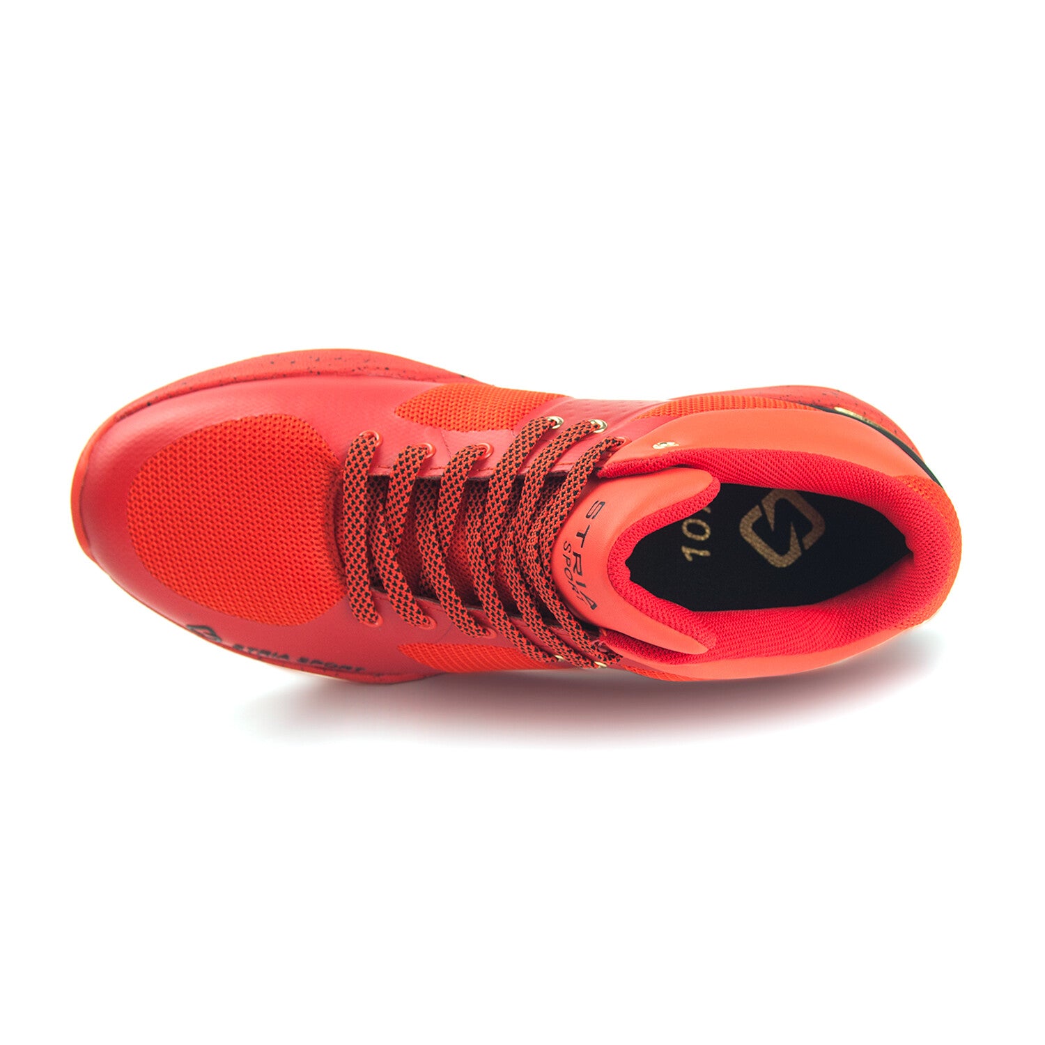 107 Series // All Red