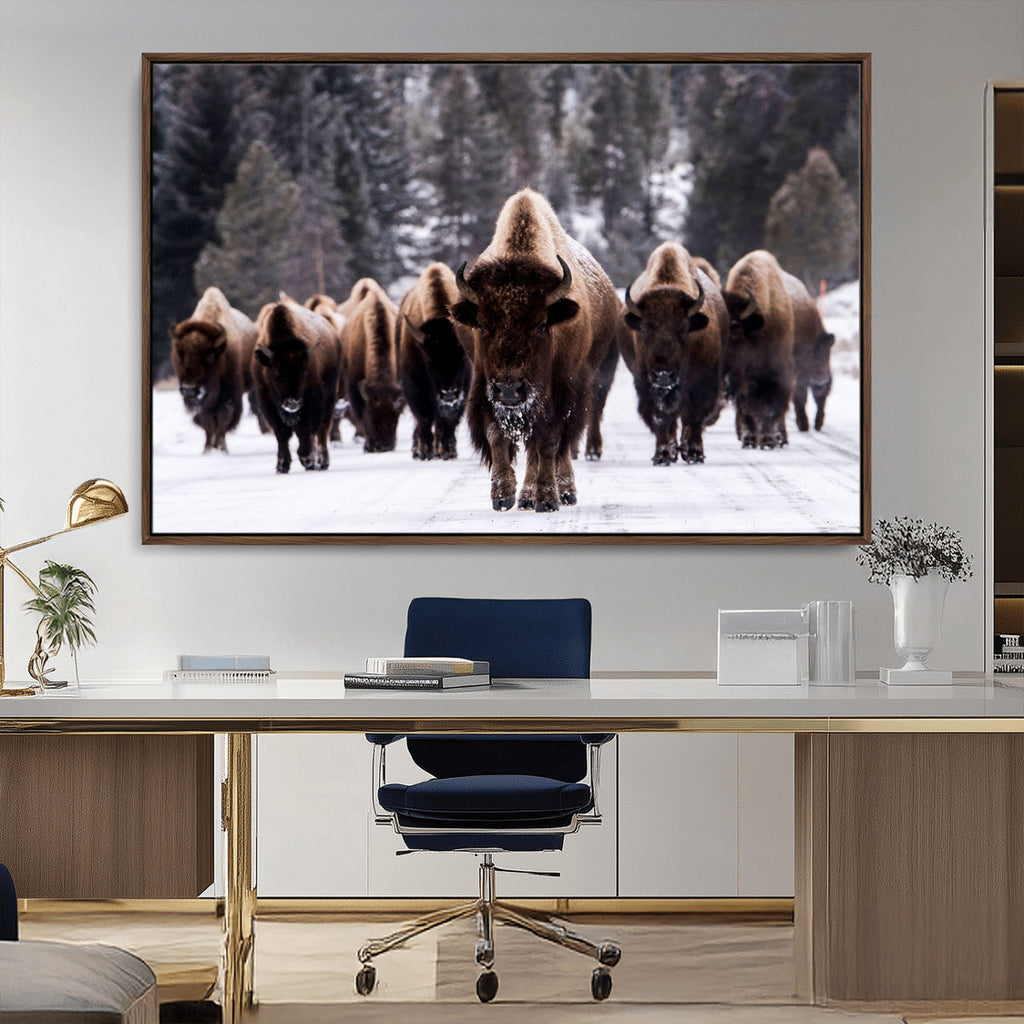 Bison Wall Art Canvas Print, Bison Herd Canvas Wall Art