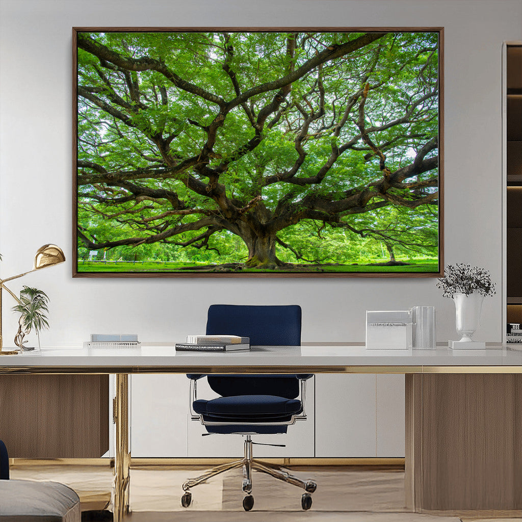 Ancient Tree Wall Art Canvas Print, Framed Sprawling Branches