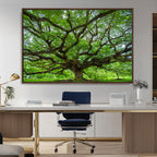 Ancient Tree Wall Art Canvas Print, Framed Sprawling Branches