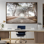 Cypress Tunnel Wall Art | Framed Misty Road Canvas Artwork