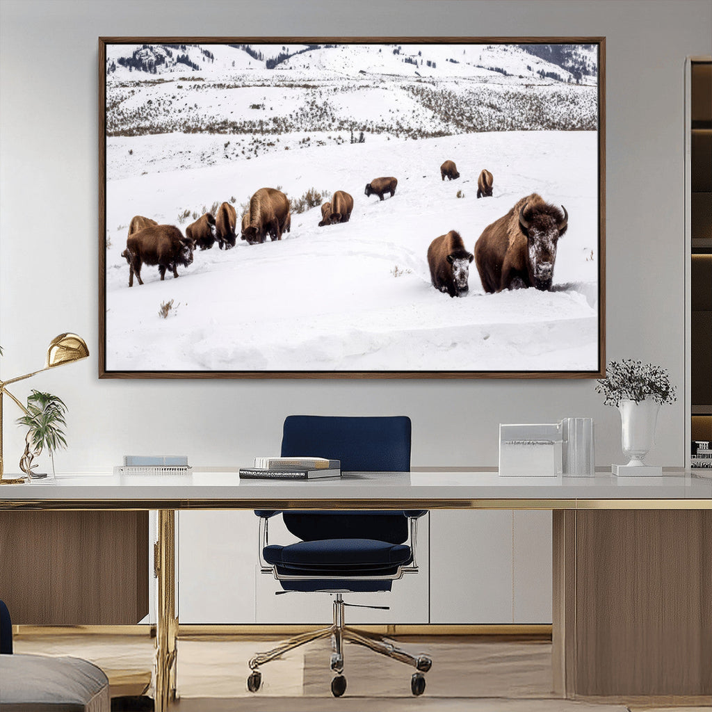 Bison Herd Wall Art Canvas Print, Framed Western Wildlife Decor, Snowy Mountain Valley