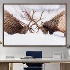 Dramatic Elk Antler Battle Wall Art Canvas Print, Snowy Wildlife Scene
