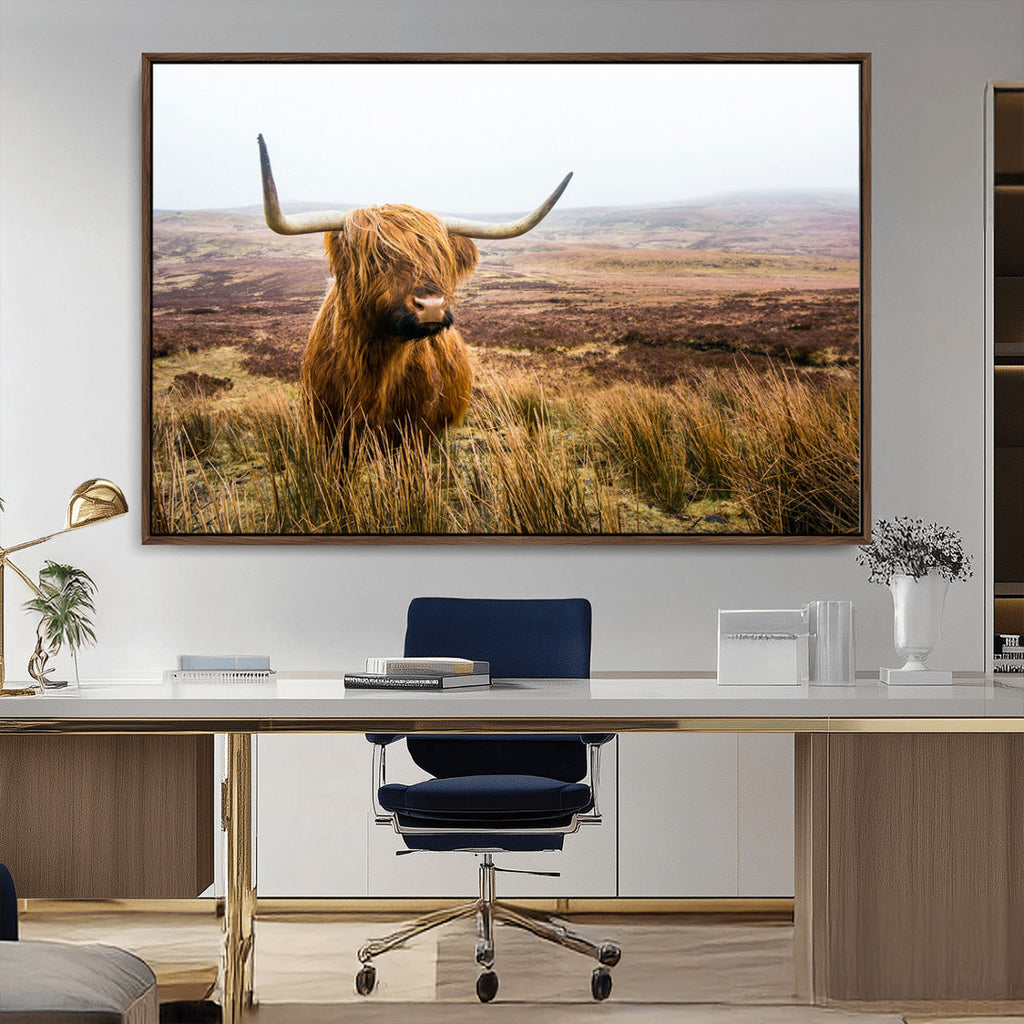 Scottish Highland Cow Canvas Wall Art, Rustic Farmhouse Decor