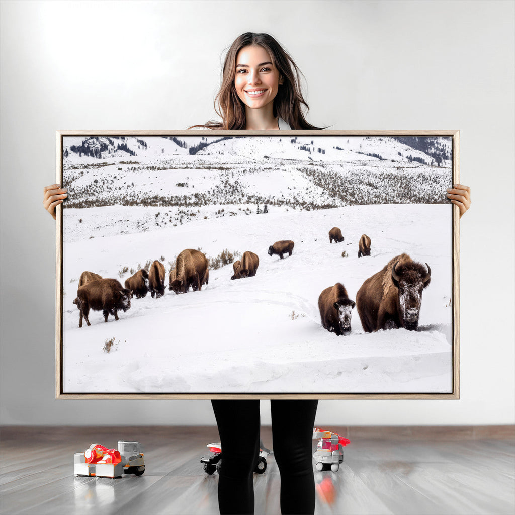 Bison Herd Wall Art Canvas Print, Framed Western Wildlife Decor, Snowy Mountain Valley