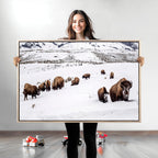 Bison Herd Wall Art Canvas Print, Framed Western Wildlife Decor, Snowy Mountain Valley