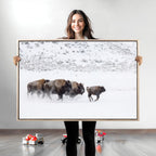 Bison Herd Wall Art Canvas Print, Framed Snowy Bison Scene, Winter Wildlife Decor