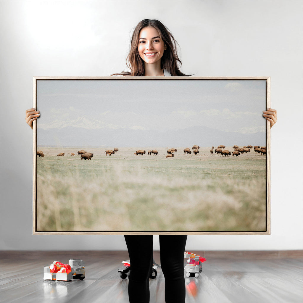 Bison Herd Wall Art Canvas Print, Framed Western Landscape with Bison in Grassland