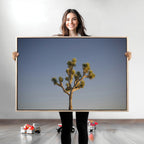 Joshua Tree Wall Art Canvas Print, Framed Southwestern Desert Landscape