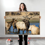 Wild Elk Wall Art Canvas Print, Framed Neutral Wildlife Scene