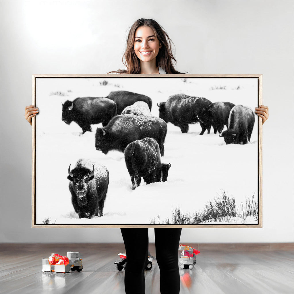 Buffalo Herd Wall Art Canvas Print, Framed Black and White Snowy Landscape
