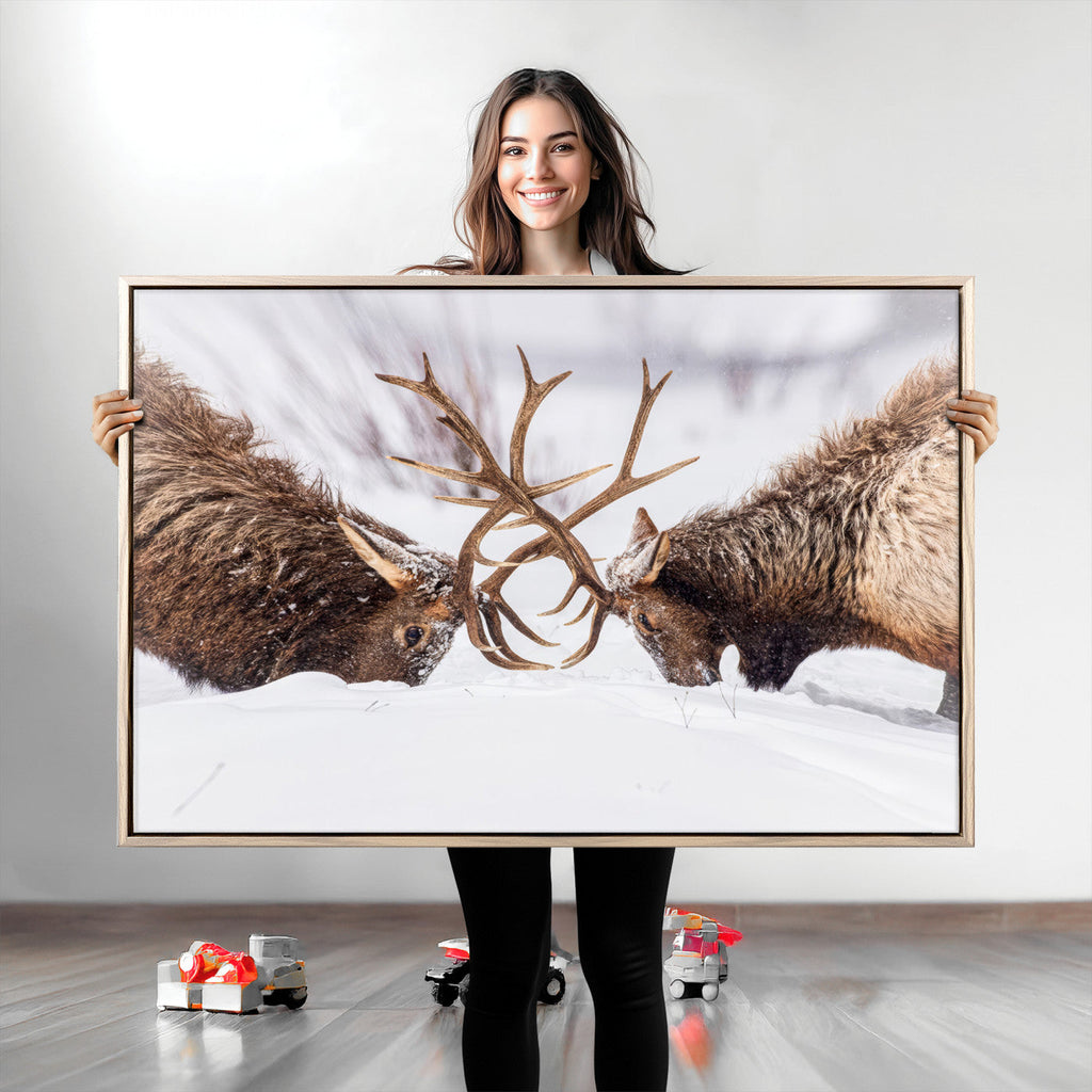 Dramatic Elk Antler Battle Wall Art Canvas Print, Snowy Wildlife Scene