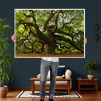 Angel Oak Tree Wall Art Canvas Print | Forest Tree Nature Photography Print