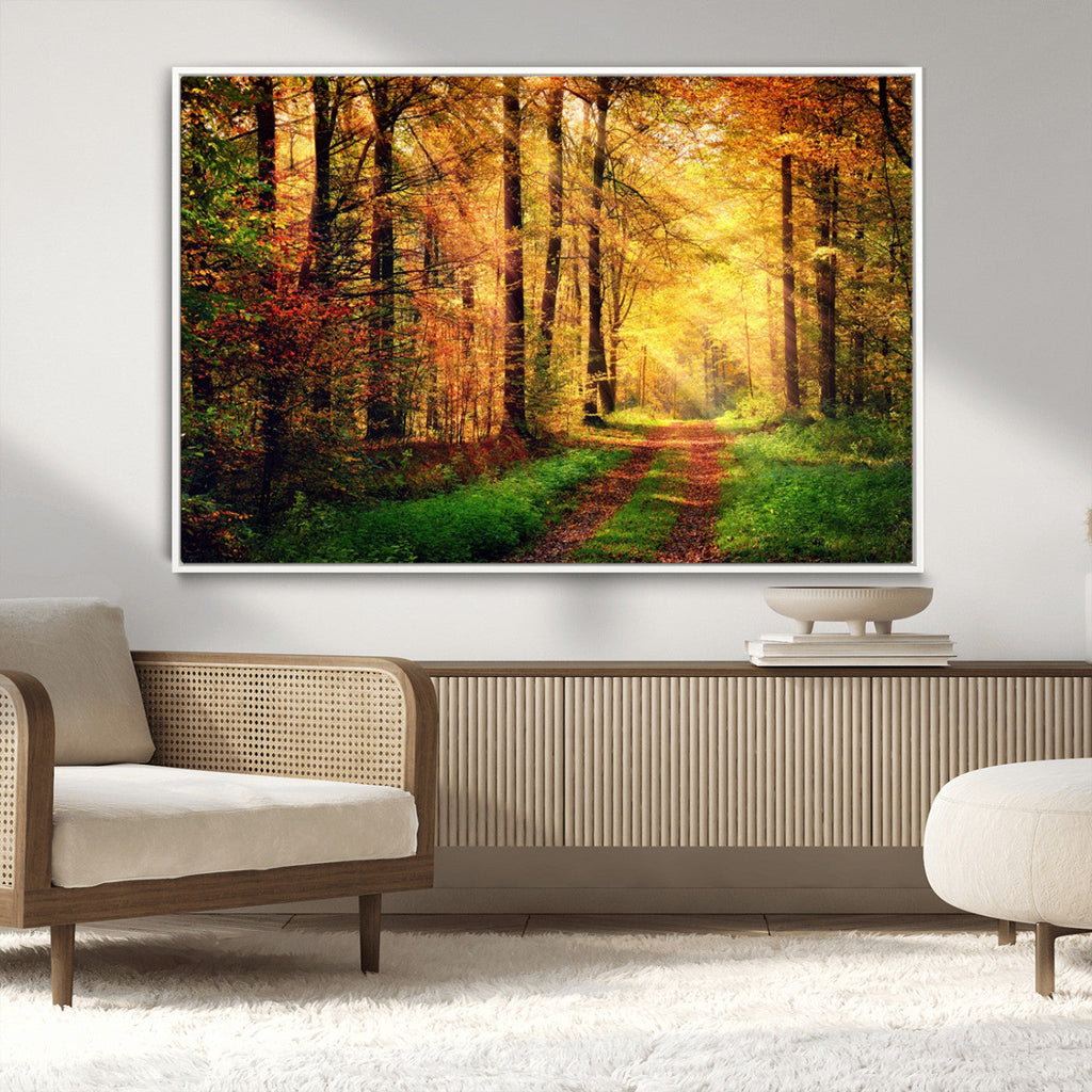 Sunlight Through Trees Wall Art Canvas Print | Autumn Forest Wall Art