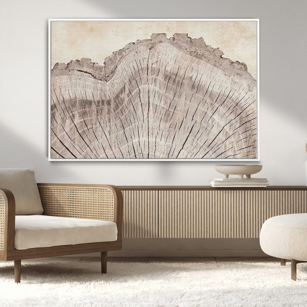Tree Ring Wall Art Triptych, Rustic Wood Ring Canvas Print
