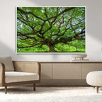 Ancient Tree Wall Art Canvas Print, Framed Sprawling Branches