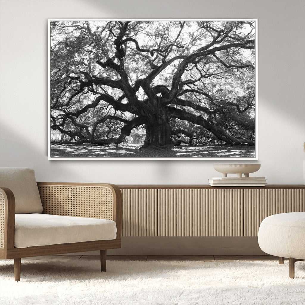 Ancient Oak Wall Art Canvas Print | Gnarled Tree with Twisted Branches