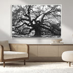 Ancient Oak Wall Art Canvas Print | Gnarled Tree with Twisted Branches