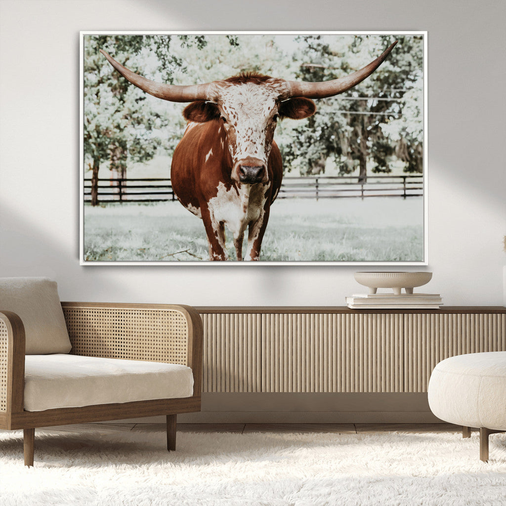 Texas Longhorn Wall Art Canvas Print | Framed Spotted Brown and White Bull