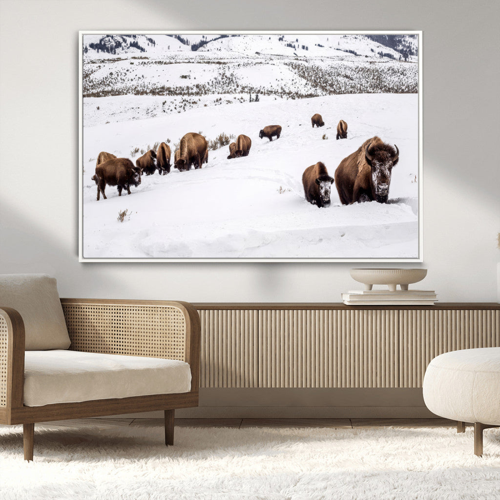 Bison Herd Wall Art Canvas Print, Framed Western Wildlife Decor, Snowy Mountain Valley