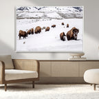 Bison Herd Wall Art Canvas Print, Framed Western Wildlife Decor, Snowy Mountain Valley
