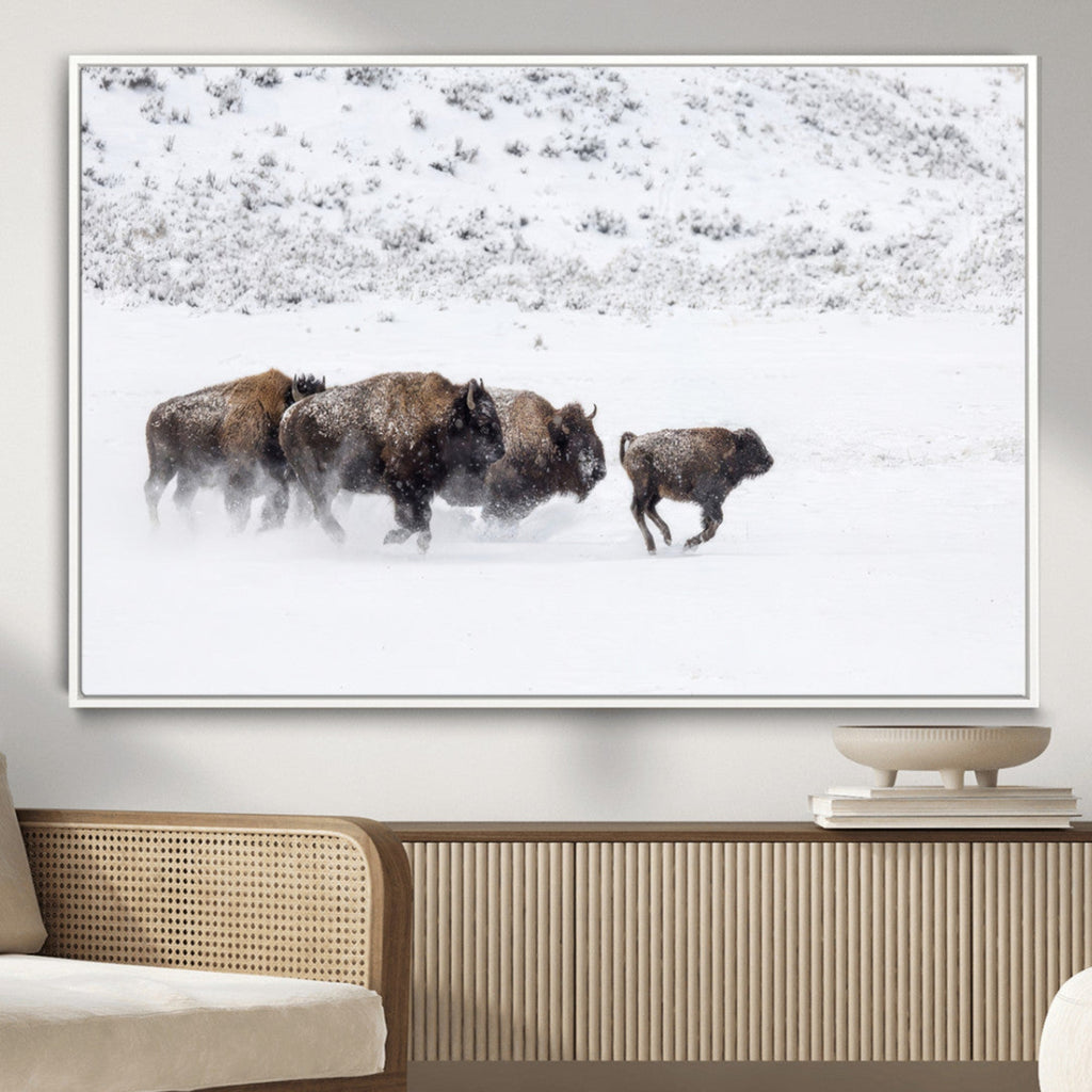 Bison Herd Wall Art Canvas Print, Framed Snowy Bison Scene, Winter Wildlife Decor