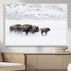 Bison Herd Wall Art Canvas Print, Framed Snowy Bison Scene, Winter Wildlife Decor