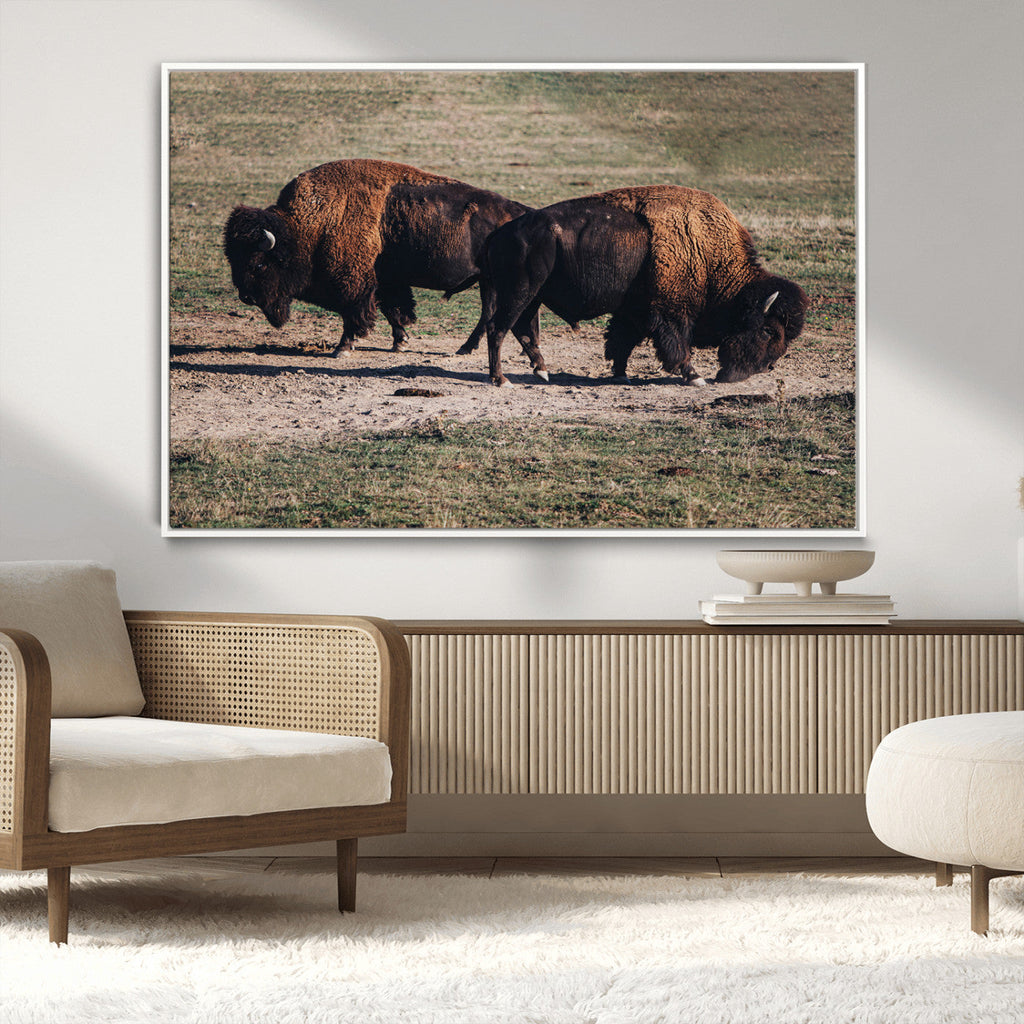 Bison Wall Art Canvas Print, Framed Western Wildlife Modern Ranch