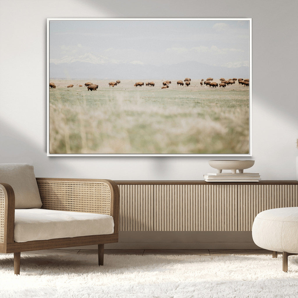 Bison Herd Wall Art Canvas Print, Framed Western Landscape with Bison in Grassland