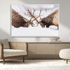 Dramatic Elk Antler Battle Wall Art Canvas Print, Snowy Wildlife Scene