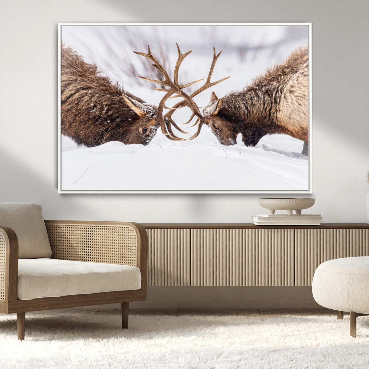 Dramatic Elk Antler Battle Wall Art Canvas Print, Snowy Wildlife Scene