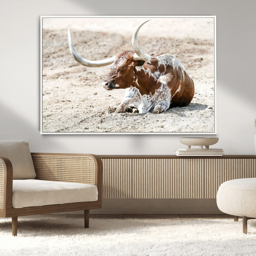 Majestic Longhorn Wall Art Canvas Print, Resting on Sunlit Desert Ground