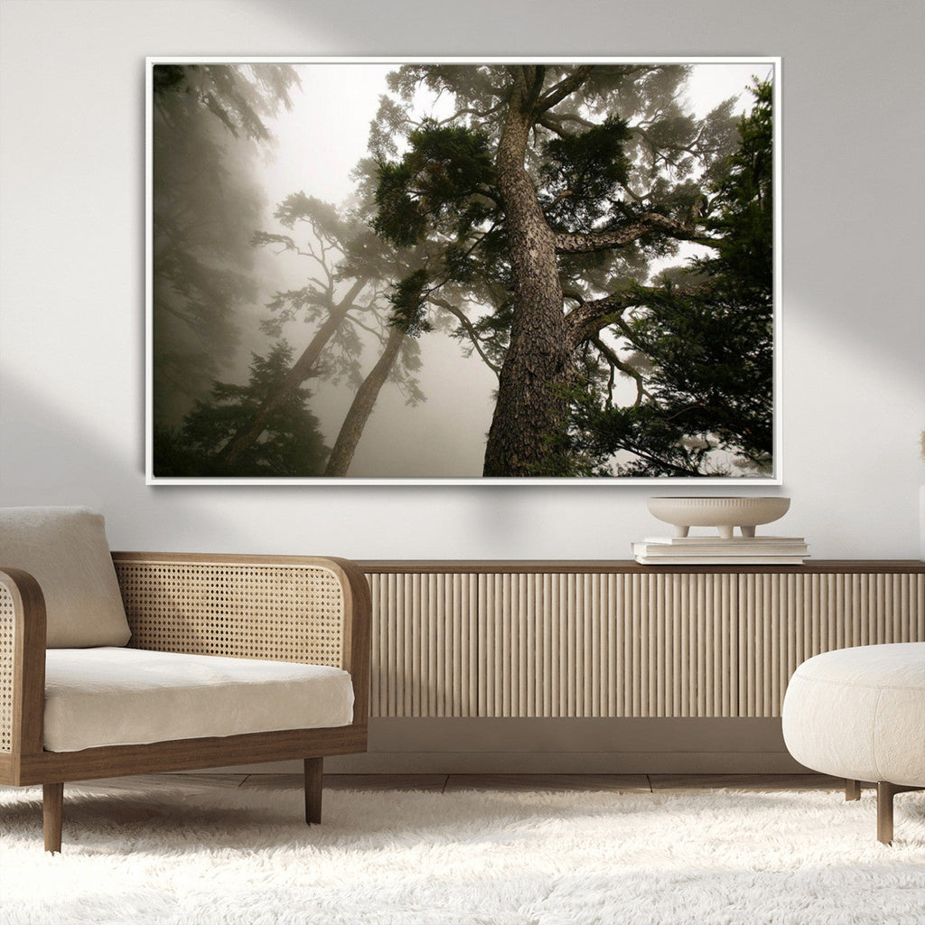 Misty Forest Wall Art Canvas Print, Framed Tall Trees in Foggy Atmosphere